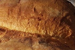 Progetto "Iperdurum", ecco il pane proteico realizzato dai ricercatori dell'Università di Bari