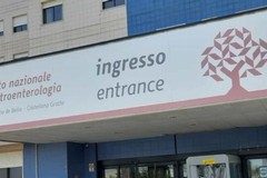 Prevenzione delle patologie epatiche, l'IRCCS "De Bellis" presenti al Carnevale di Putignano
