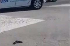 Sparatoria a Bari, in un video i momenti successivi allo scontro