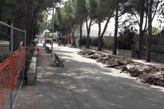Noicattaro (Bari), via ai lavori di ampliamento del Parco Comunale