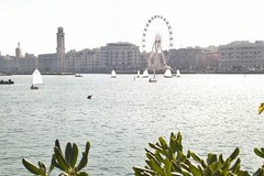 L'Istat dà i numeri, Bari la città con l'inflazione più elevata d'Italia