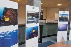 "Mare caldo", al palazzo delle Poste la mostra di Greenpeace Bari