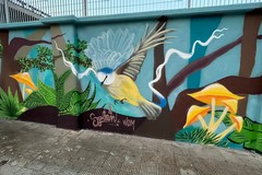 Un omaggio alla biodiversità, ecco il nuovo murale ideato da Retake Bari