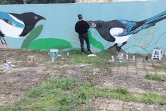 Parco Gargasole, prende forma il nuovo murale dell'artista londinese Le Spleen