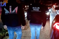 Traffico di droga tra la Puglia e l'Albania: 52 arresti, quattro risiedono a Bari