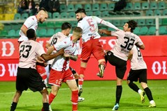 Palermo-Bari, i precedenti tra le due squadre