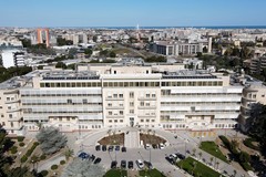 Tumore del pancreas e medicina di genere: all’Istituto Tumori di Bari il premio AMMI