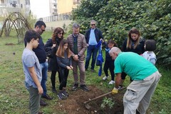 Comune di Bari, Masseria dei monelli e Orto circuito gestiranno il Parco Gargasole