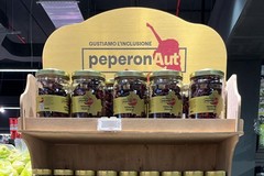 Maiora promuove un altro progetto di inclusione e valorizzazione sociale: nasce la partnership con la Cooperativa Sociale PeperonAut