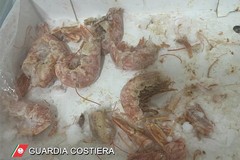 Monopoli, ristorante di sushi non in regola: scattano la sospensione e multa da 4mila euro