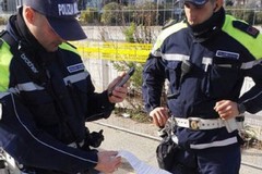 Provincia di Bari, agente della polizia locale aggredito ad Adelfia