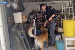 Controlli tra Carbonara, Ceglie del Campo e Japigia: ritirata una pistola