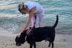 Spiagge e accesso alla battigia a Bari: garantire il libero transito ad animali domestici