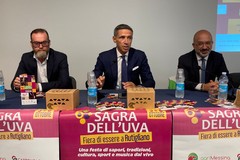 Arriva a Rutigliano la sagra dell'uva da tavola: il programma