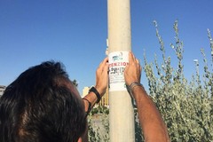 Amiu Puglia provvede alla derattizzazione del Lungomare e di Pane e Pomodoro