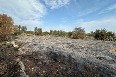 Valenzano, individuato il responsabile dello sversamento di rifiuti agricoli nelle campagne