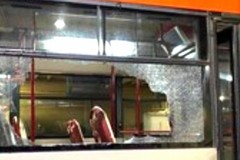 Halloween dà sfogo ai teppisti. Serata da incubo a Bari