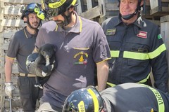 Tre cuccioli salvati a Sammichele di Bari: l'intervento dei Vigili del Fuoco dura due ore