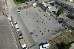 Disastro ambientale a Molfetta, commissariati il consorzio Asi di Bari e Asi spa