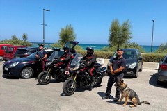 Bari, quartiere San Girolamo: servizio straordinario di controllo da parte dei Carabinieri