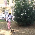 Bari, squadre della Multiservizi al lavoro per sfalcio e potatura alberi in parchi e giardini pubblici