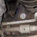 Rutigliano, gatto resta incastrato nel motore dell'auto. Lo salvano i volontari