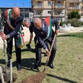 Gaza, a Parco Rossani ulivo piantato dai sindaci di Bari e Beit Jala