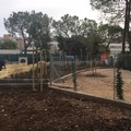 Giardino Carrante, lavori agli sgoccioli. Tutto pronto per fine febbraio