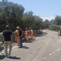 Realizzazione marciapiedi via Crispi a Loseto: il sopralluogo dell’assessore Scaramuzzi