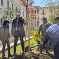 In piazza Cesare Battisti piantato l'albero per le vittime innocenti di mafia
