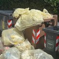 Mancato corretto conferimento dei rifiuti: a Torre a Mare notificata la prima chiusura di un'attività commerciale 