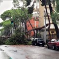 Maltempo su Bari, verifica dei danni in corso