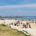  "Mare per tutti ", domani a Pane e pomodoro la festa conclusiva