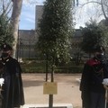 Bari, un albero in memoria di Giovanni Palatucci, ultimo questore di Fiume