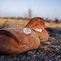 Provincia di Bari, il pane di Altamura patrimonio culturale immateriale dell'Unesco