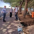 Continuano i lavori per la nuova illuminazione a Bari, ora tocca al parco a Japigia