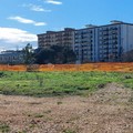 Proseguono gli interventi di forestazione urbana del Bosco Sociale nel quartiere Loseto a Bari