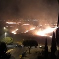 Bari brucia, incendio a Japigia le fiamme lambiscono la tangenziale