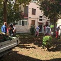 Ex palazzine Arca Puglia di viale Japigia, vie erbacce e programmato il risanamento del verde