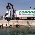 A Bari la campagna  "Marevivo ", raccolti sessanta pneumatici dal fondale del porto