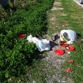 Corso Vittorio Veneto, una discarica a cielo aperto vicino al centro