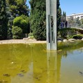 Parco 2 Giugno, tra sporcizia e erba secca  "muore " il polmone verde di Bari