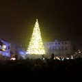 Bari dà il via alle feste con l'accensione dell'albero di Natale