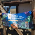  "Il mare è la loro casa ", parte la nuova campagna LAV