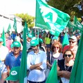 Grano, al porto di Bari la protesta degli agricoltori: dieci richieste alla politica