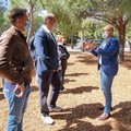 Bari, sopralluogo per realizzare un bosco urbano dedicato alle vittime del Covid