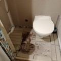 A Bari Vecchia scoperta una locazione turistica abusiva in pessime condizioni igienico-sanitarie