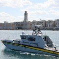 Torre a Mare, sequestrati circa 3 quintali di oloturie