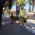 Caldo e siccità, a Bari scatta l’irrigazione di soccorso per il verde urbano