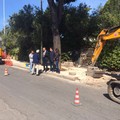 Bari, al via la manutenzione stradale nel Municipio I